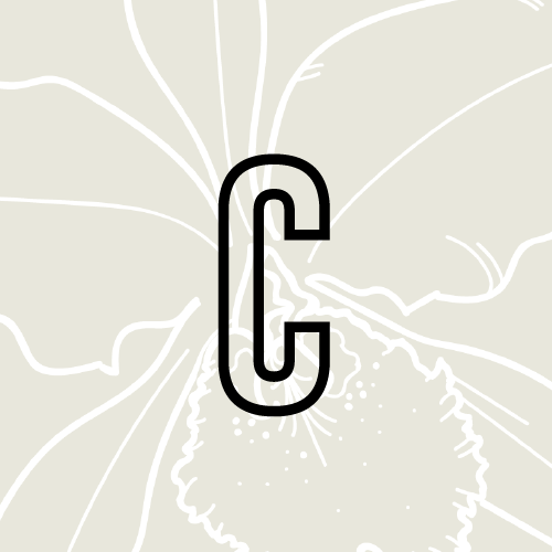 Logotipo de Cataleya