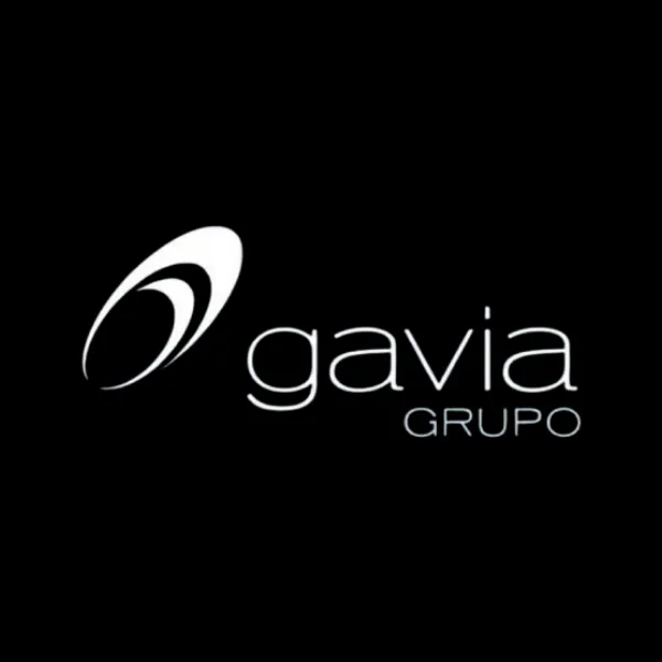 Gavia Grupo