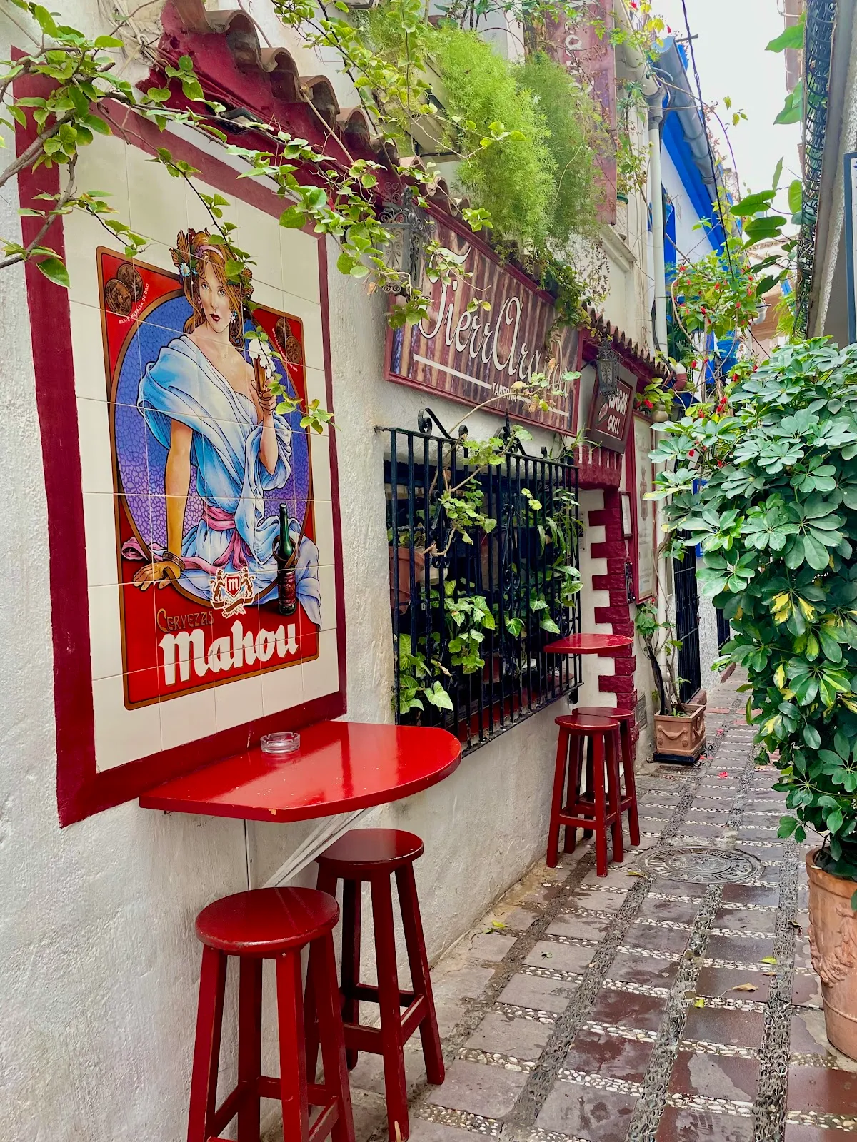 Taberna Tierra Aranda
